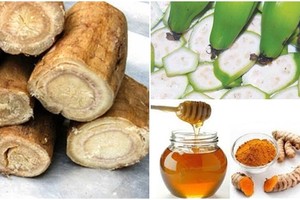 Chữa đau dạ dày cực nghiệm với chuối hột, mật ong