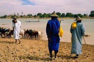 Tấn công đẫm máu ở Mali, hơn 100 người thiệt mạng