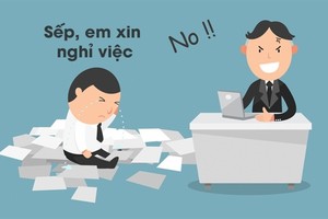 Những người hưởng lương trên 80 triệu đồng/tháng muốn nghỉ việc nhiều nhất