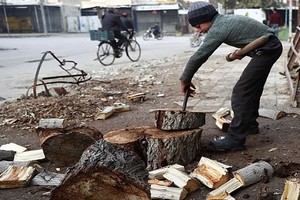 Cuộc sống thanh bình ở Đông Aleppo qua ảnh mới nhất