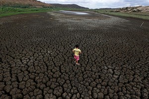 Chùm ảnh về hạn hán tồi tệ nhất ở Brazil