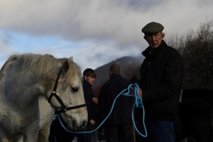 Kỳ lạ hội chợ nông sản ven đường của Ireland