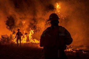 Ảnh: Cháy rừng ở California, Tổng thống Trump tuyên bố tình trạng thảm họa