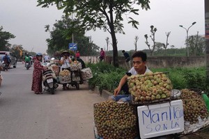 Chùm ảnh: Hàng rong tự phát bán tràn lan trên đại lộ Thăng Long