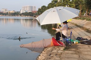 Hồ Định Công biến thành hồ câu dịch vụ: Chủ tịch phường phải chịu trách nhiệm