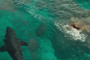 “The Shallows” hồi sinh dòng phim về cá mập ăn thịt người