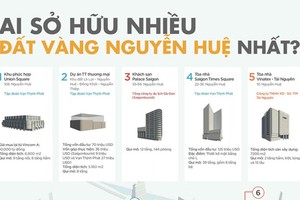 Ai sở hữu nhiều đất vàng đường Nguyễn Huệ nhất?