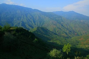 Săn mây trên "lưng khủng long" Tà Xùa