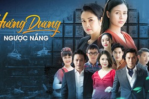 Giải mã lý do “Hướng dương ngược nắng” gây sốt