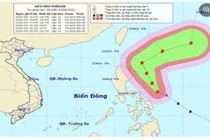 Do ảnh hưởng siêu bão Surigae, Bắc Biển Đông sóng biển cao 4m