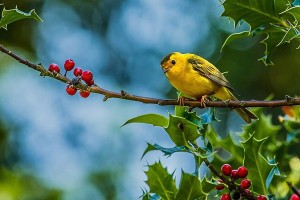 Ai sinh tháng Âm lịch này cả đời thuận buồm xuôi gió, bình an