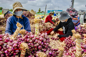 "Ông lớn" bán lẻ Thái Lan mách chiêu bán hành củ giá cao