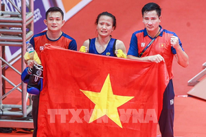 Thành tích của đoàn thể thao Việt Nam qua các kỳ SEA Games