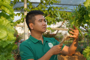 Chàng trai trẻ trồng rau theo cách độc lạ ai nhìn cũng mê