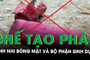 Video: Bỏng mặt và bộ phận sinh dục do chế tạo pháo học trên mạng