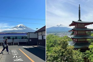 Du khách chọc thủng lưới che view núi Phú Sĩ 