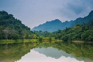 Khám phá tour đêm của Vườn Quốc gia Cúc Phương