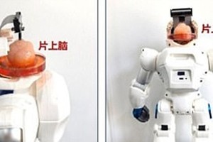 Các nhà khoa học tạo ra robot có bộ não con người