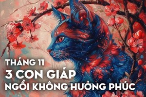 Gặp dữ hóa lành, tháng 11, 3 con giáp này ngồi không hưởng phúc                       