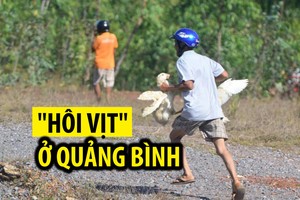 Ảnh: Những vụ “hôi của” đáng xấu hổ của người Việt 