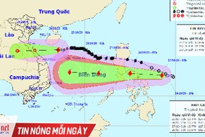 Bão số 8 chưa vào đất liền, miền Trung chuẩn bị đón thêm bão cấp 12