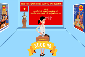 Bỏ phiếu bầu đại biểu Quốc hội, HĐND như thế nào?