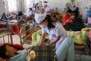 Báo động bùng phát dịch sốt xuất huyết