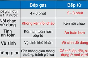 Gợi ý cho bạn khi băn khoăn mua bếp gas hay bếp từ