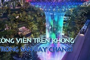 Thán phục công viên khổng lồ “treo” trong sân bay Changi 