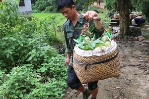 “Na bay” xuống núi bằng... cáp treo, bà con đút túi gần 800 tỷ 