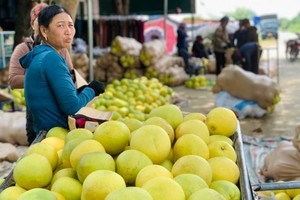 Tấp nập phiên chợ được nhuộm bằng màu vàng bưởi chín ở Hà Tĩnh