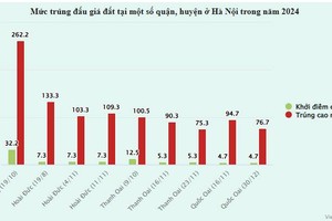 Sức nóng từ các phiên đấu giá đất ngoại thành Hà Nội giảm mạnh