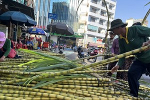 “Chợ mía” độc đáo mỗi năm chỉ họp một lần nhộn nhịp người mua 