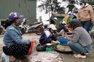 Ngư dân Thanh Hóa trúng đậm “lộc biển” bán giá cả triệu đồng