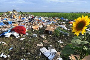 Thảm kịch hàng không MH17 – Một năm nhìn lại