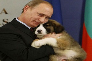 Tổng thống Nga Putin và tình yêu dành cho động vật