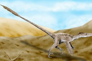 Sự thật tàn khốc về khủng long Velociraptor 