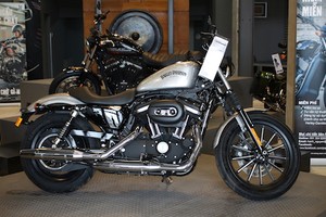 Chi tiết Harley-Davidson 883 Iron màu option “độc” tại VN