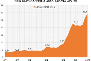 Điều gì khiến cổ phiếu công ty Cường Đôla bật tăng 9 lần?