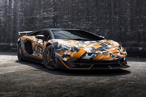 Siêu xe Lamborghini Aventador SVJ 63 lấy cảm hứng từ xe đạp