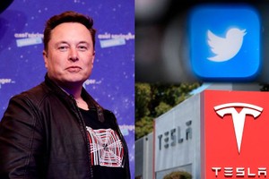 Elon Musk không thiên vị Tesla nếu Twitter có thêm quảng cáo 