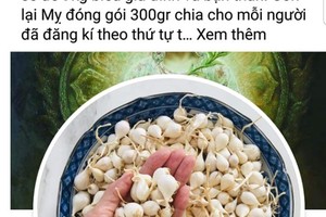 Tung tin “tỏi Lý Sơn nhiễm thuốc trừ sâu”, FB Lương Hoàng Anh bị phạt nặng?