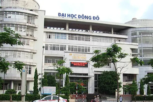 Vụ Đại học Đông Đô: Nhiều "cò" trung gian thoát hình sự