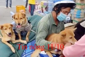 Tin nóng 11/10: Bí thư Cà Mau nói gì về việc tiêu hủy đàn chó, mèo?