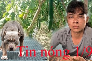 Tin nóng 1/9: Chó pitbull nặng 40kg cắn chết chủ nhà giờ ra sao?