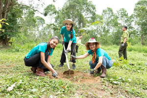  Đạo diễn hé lộ những thử thách trong show thực tế Miss Earth Vietnam 2023?