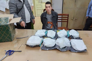 Thu giữ hơn 7,3kg ketamine cất giấu trong túi thực phẩm chức năng