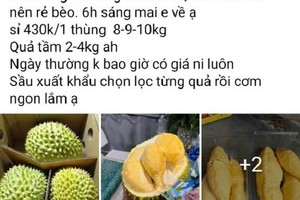 Thực hư việc “giải cứu sầu riêng” giá rẻ 