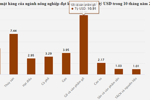 Trung Quốc bao mua, nông nghiệp có thêm mặt hàng tỷ USD sau 10 tháng