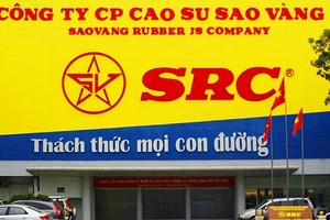 Dự thu 300 tỷ quyền thuê đất, tài sản Cao su Sao Vàng sao?